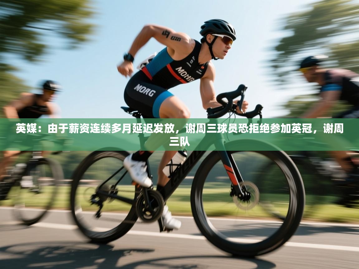 开云体育极速下载镜像-英媒：由于薪资连续多月延迟发放，谢周三球员恐拒绝参加英冠，谢周三队  第3张