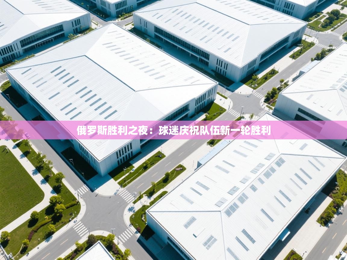 开云体育app投诉-俄罗斯胜利之夜：球迷庆祝队伍新一轮胜利  第1张