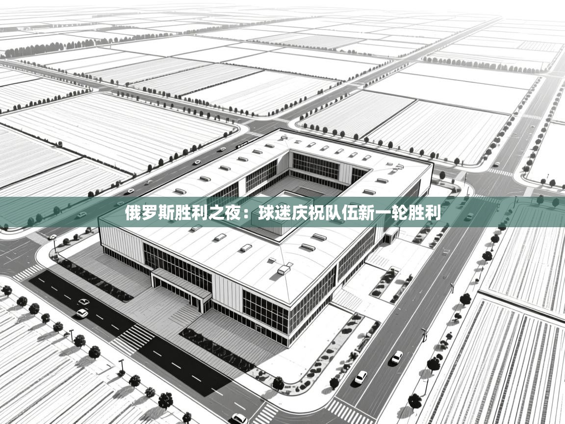 开云体育app投诉-俄罗斯胜利之夜：球迷庆祝队伍新一轮胜利  第3张